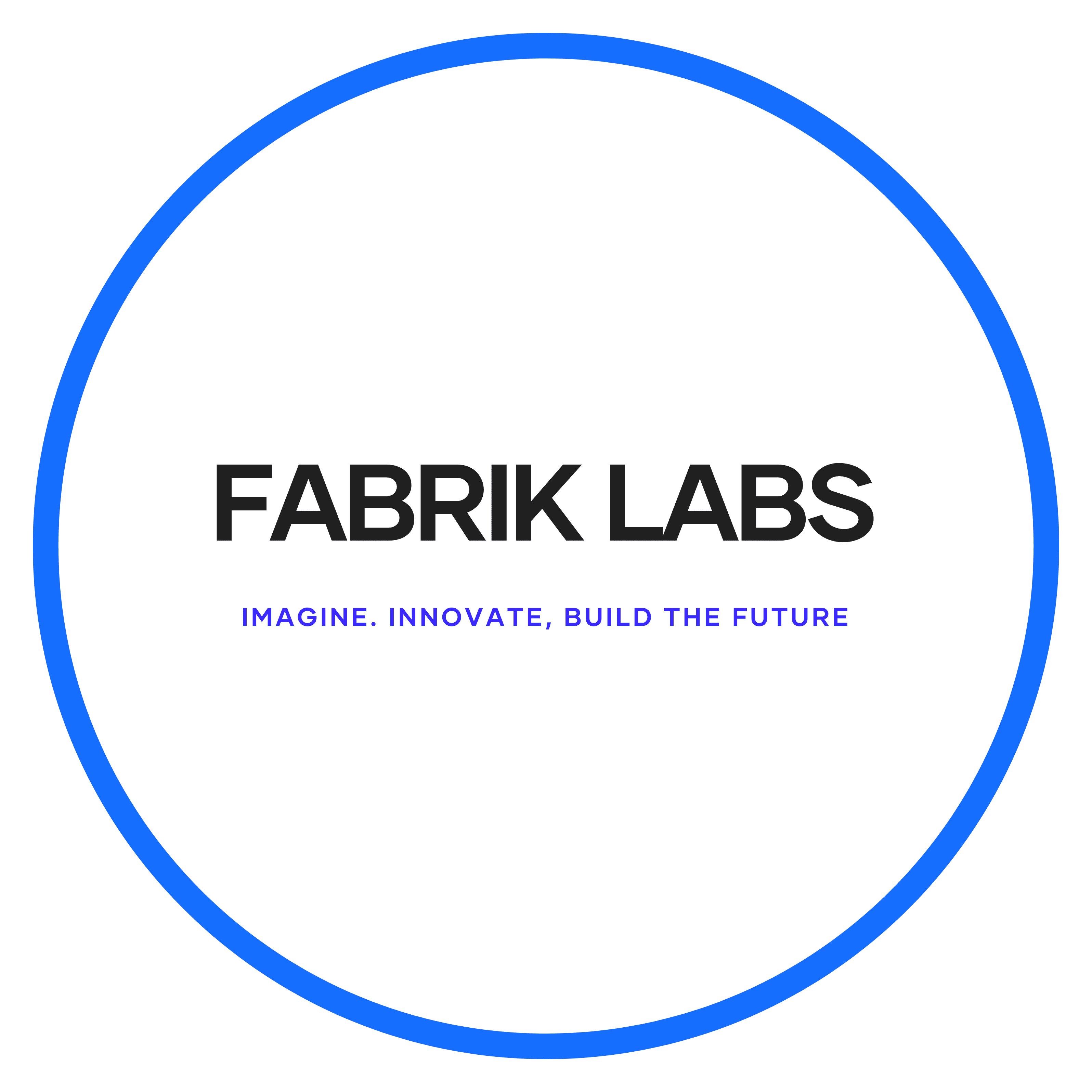 Development of Internal Tools and AI Apps at Fabric Lab logo